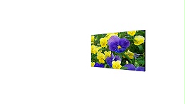 DS-D2055NH-F/G