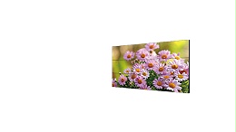 DS-D2055NL-B/G