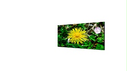 DS-D2055NH-B/Y