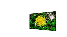 DS-D2055NL-B/Y